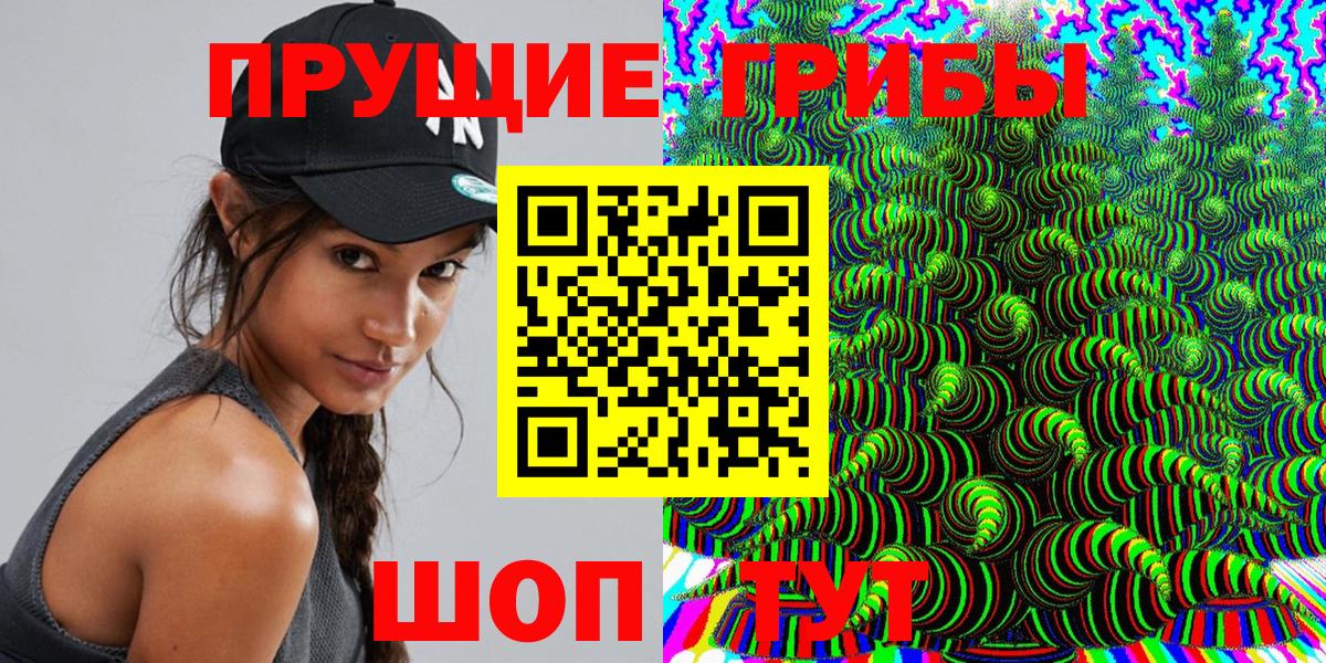 Новоалександровск  Галлюциногенные грибы мицелий  Вход с VPN 